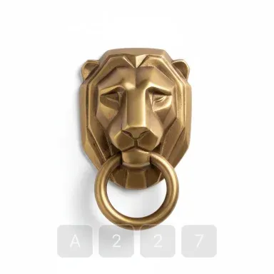 A227-04 Hamptons Choice Brass Door Knocker - View 1